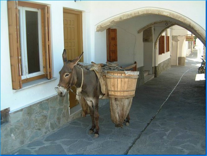 2003 08 19 030820 Refuse collector on Naxos.JPG