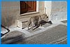 2003 09 06 010.jpg