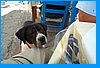 2003 09 06 024.jpg