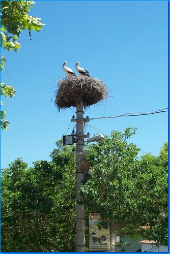 2007 05 11 018.jpg