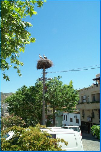 2007 05 11 019.jpg