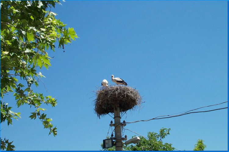 2007 05 11 021.jpg