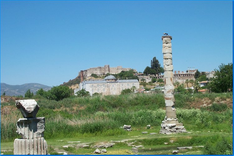 2007 05 11 023.jpg