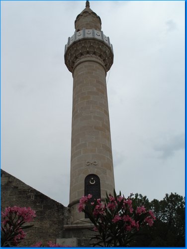 171.JPG