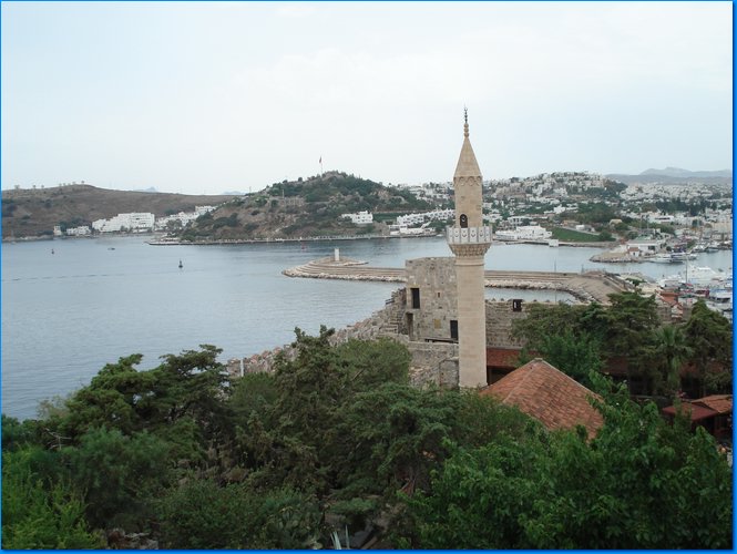 177.JPG