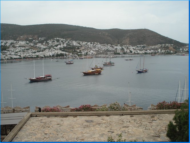 178.JPG