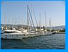 IMG_1559.JPG