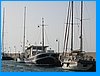 IMG_1560.JPG